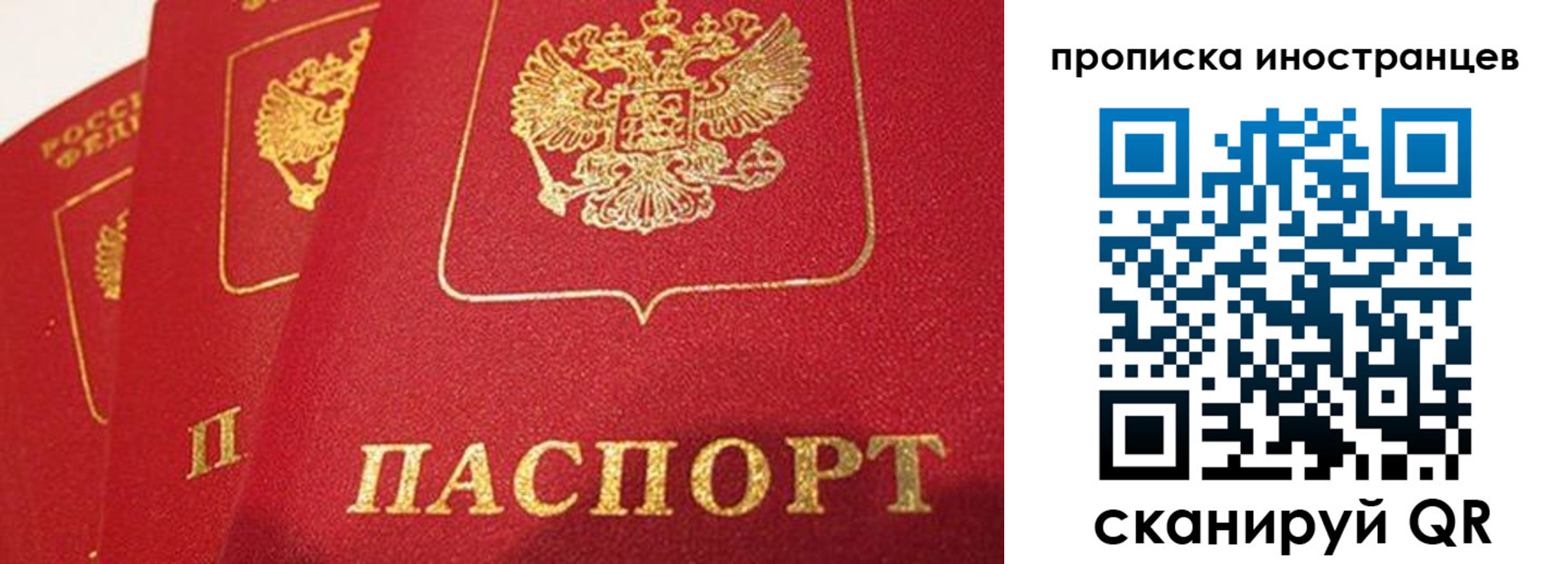 прописка поиск в Полярном